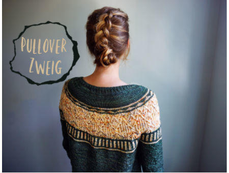 Pullover a maglia Zweig