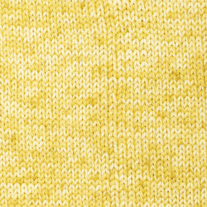 23 sogno di dente di leone