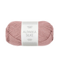 4331 rosa polvere