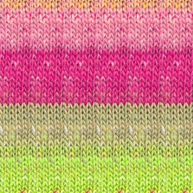 Noro Geshi 25 Shizuoka