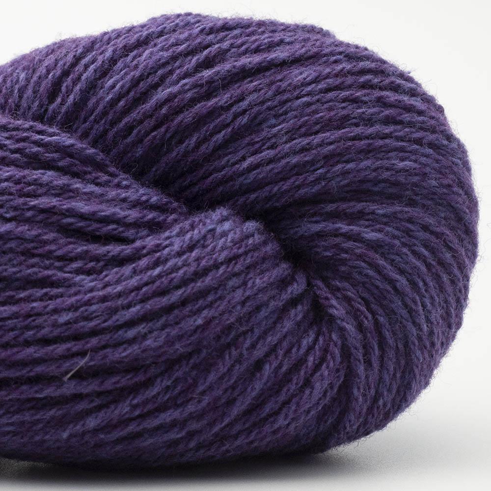 bio balance-berry 24