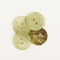 bottone madre perla verde 620