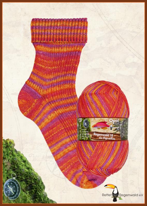 Filato Opal Regenwald 18 4 ply