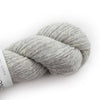 06 Silver