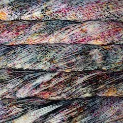 filato malabrigo sock BACO