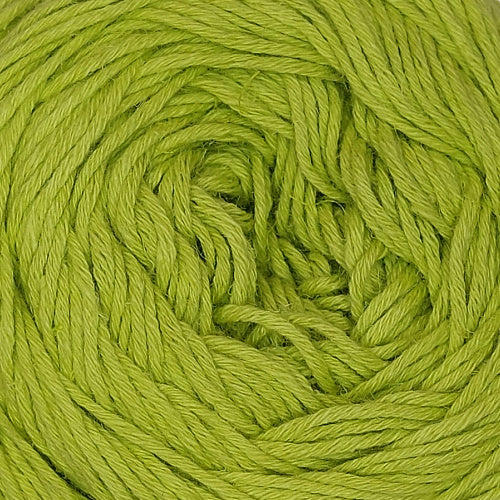 Filato Laines du nord Natura