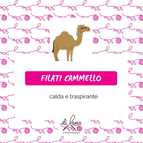 filati in cammello