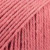 13 rosa antico