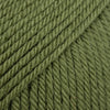 17 verde muschio