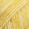 23 sogno di dente di leone