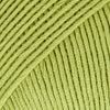 31 pistacchio