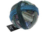 2529_ Spin Cycle