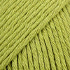 11 verde mela