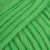 103 verde pappagallo