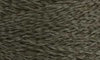 268 lizard
