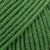 14 verde foresta