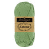 212 Sage green
