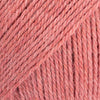 24 rosa fragola