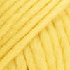 109 dente di leone