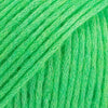 43 verde pappagallo