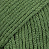 43 verde foresta