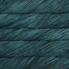 Teal feather