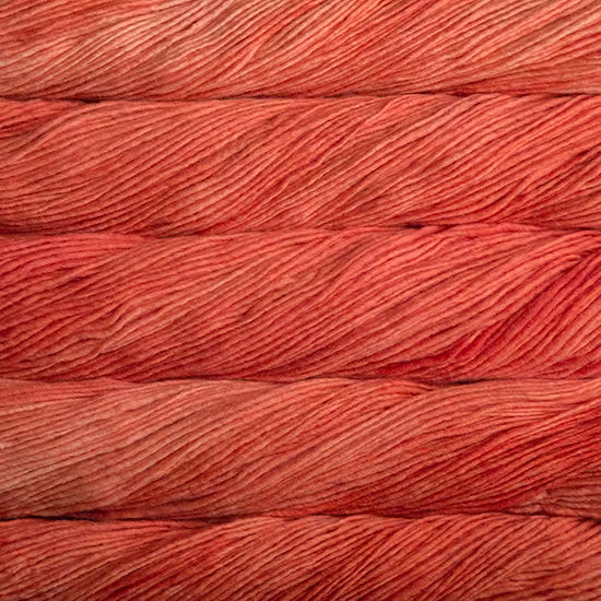 Filato Malabrigo Merino Worsted
