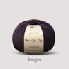 0956 PRUGNA