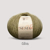 1153 oliva