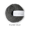Thunder cloud