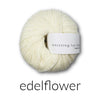 Elderflower